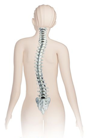 Sacroiliac Joint Pain