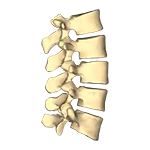 Neck Pain